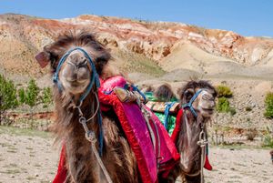 Чуйский тракт, Гейзерово озеро, Марс