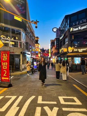 Парк птиц, возвращение в Сеул