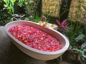 Тропа художника, Спа и балийские танцы