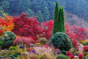 Сад утреннего спокойствия - Намисом - Сокчо