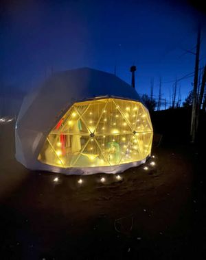 Толбачинские вулканы - Мертвый лес