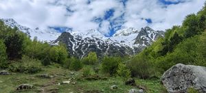 Прогулки по Осетии (Цей и Дигория) в компании маламута