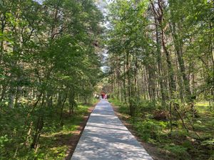 Куршская коса