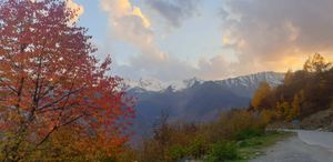 Сванетиа - городок Местиа