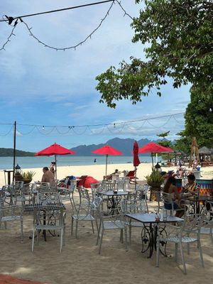 Мангровые леса и Geoforest Park