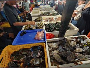 Свободный день. Вечером выезд на Яву