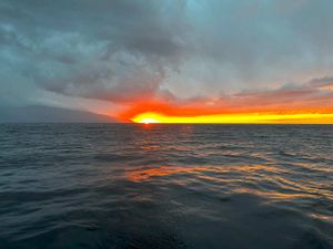 Выселение из гостиницы и отъезд домой