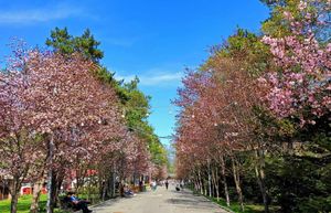 Свободный день