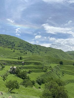 Гамсутль
