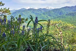 Поездка к плато Лаго-Наки