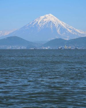 Крабовое сафари