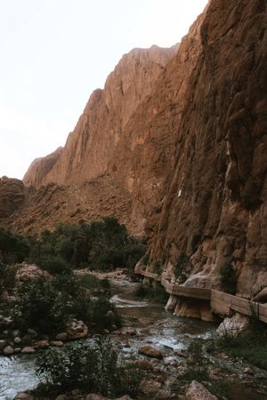 День ущельев