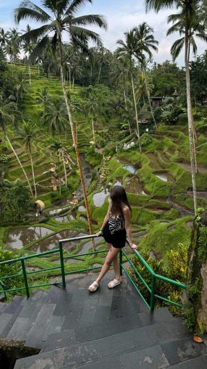 Убуд. Ритуал Очищения И Рисовые Террасы