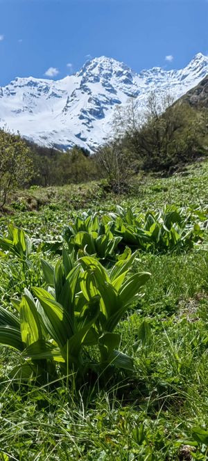 Канатная дорога Цей, Сказский ледник
