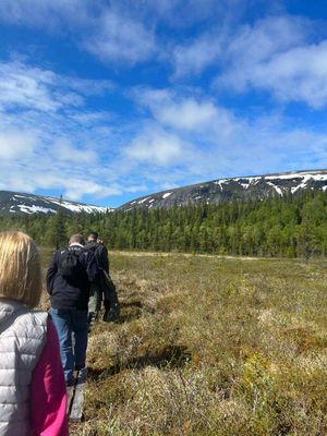 Ловозеро / Сейдозеро