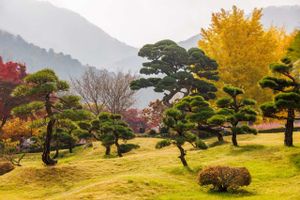 Сад утреннего спокойствия - Намисом - Сокчо