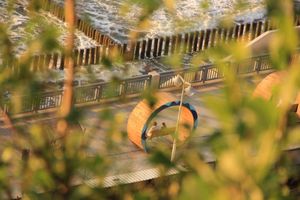 Встреча, Шаакен, Светлогорск