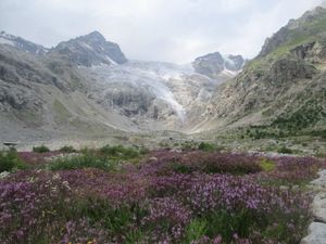 Переезд в село Дзинага - ледник Караугом