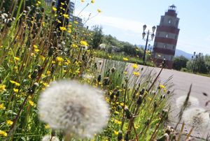 Обзорная экскурсия по Мурманску, вылет из Мурманск