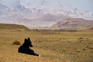 Гейзерное озеро и Алтайский Марс