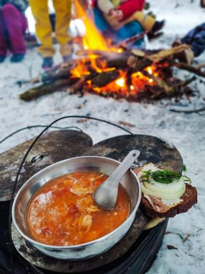 Пеший поход к кабанам и оленям