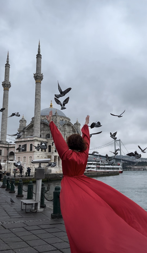 Жемчужина Стамбула