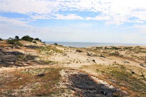 Экскурсия на Куршскую косу