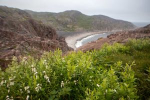 Кольский меридиан: Мурманск + Териберка + этнодеревня + Кировск / Хибины