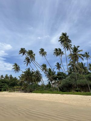 Пляж Диквелла и встреча заката в голубой лагуне