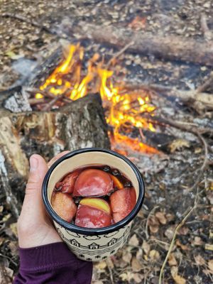Пеший поход с глинтвейном в Гуслицкий заказник