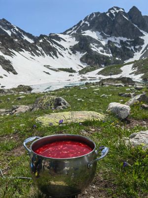 Поездка через перевал в Дигорию
