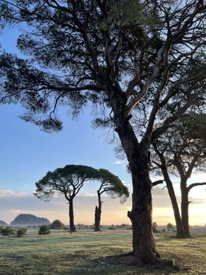 Анталья - Чиралы - Знакомство