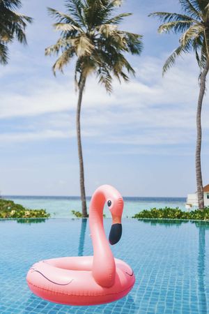 Мальдивы: 4 острова (локальный, 2 резорта и остров скатов)