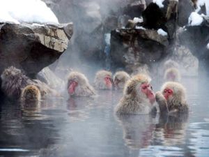 В Сердце Японских Альп