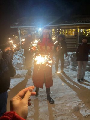 Теоретические занятия и отработка. Новый Год