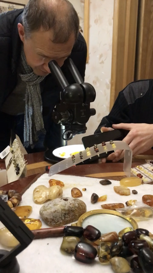 Встреча в Калининграде