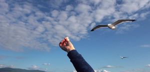 Круиз на корабле по Байкалу