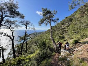 Фаралья - Алынджа