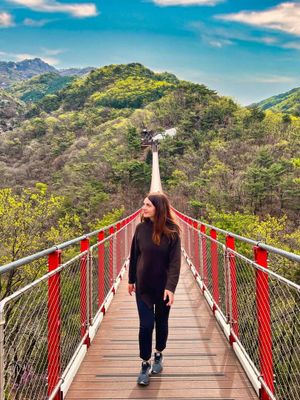 Демилитаризованная зона, ночная жизнь Сеула