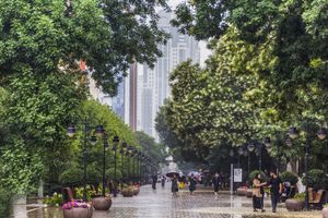 Обзорная пешеходная экскурсия по г. Грозный