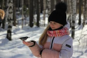 Обзорная экскурсия по Аршану. Завершение тура