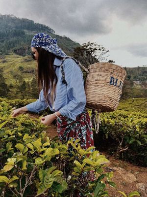 Маленькая Англия и знаменитый чай