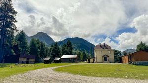 Встреча гостей, знакомство с лошадьми