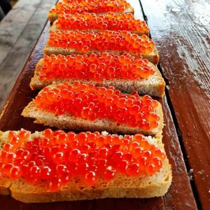 Толбачинские вулканы - Мертвый лес