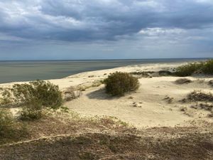 Куршская коса