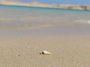 Шарм-эль-Шейх день 1