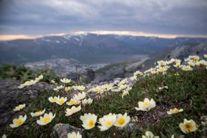 Кировск и Хибины