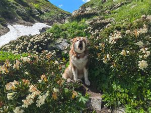 Канатная дорога Цей, Сказский ледник