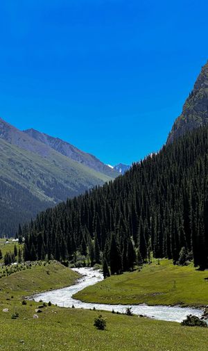 Горячие источники, таинственное ущелье