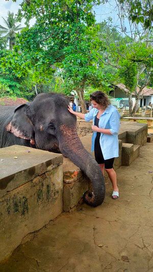 Первое знакомство: питомник слонов и загадочная Си